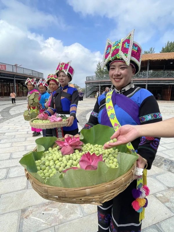 援滇县长讲故事｜丘北：厚植生态底色 绘就绿好意思画卷