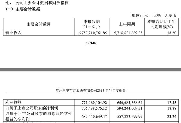 女考验变身百亿富豪，星宇股份卖车灯收入大增